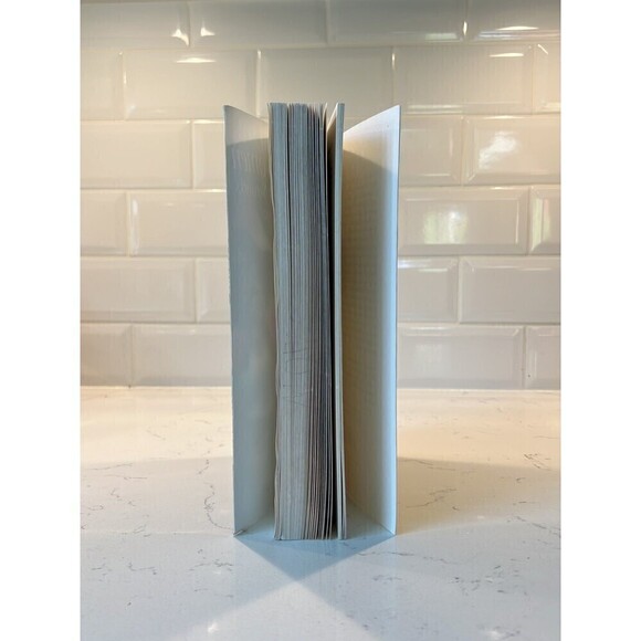 Globalizing Women by Valentine M. Moghadam - Picture 3 of 4